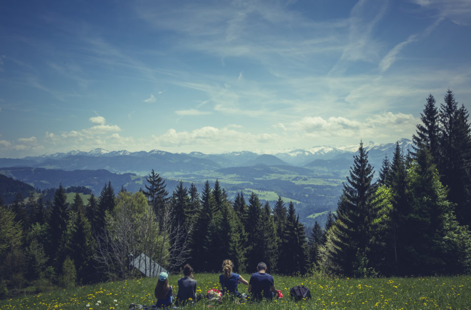 Alps Mountain Panorama View