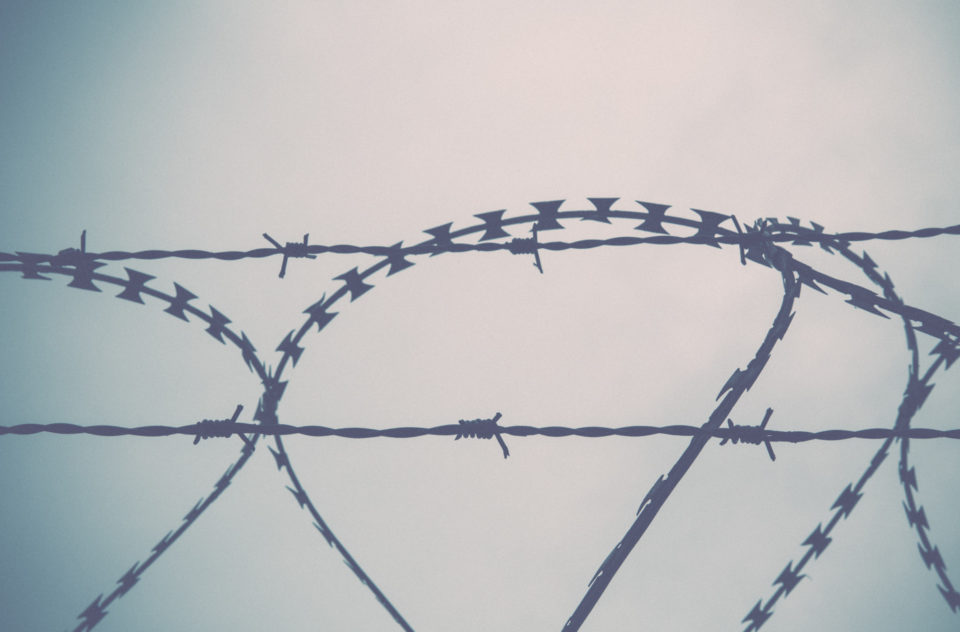 Barbed Wire Barbwire