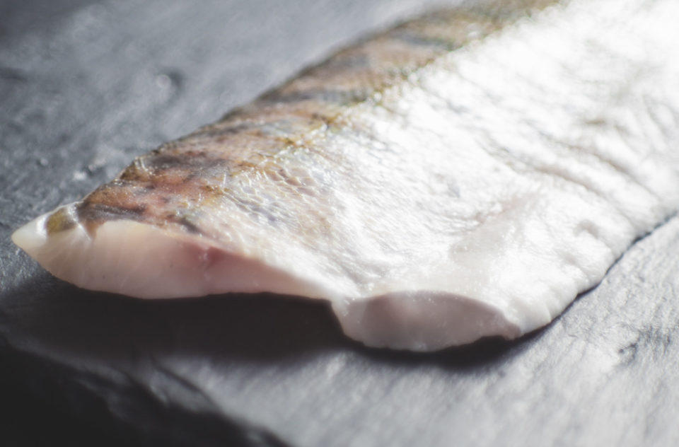 Fresh Salmon Coalfish