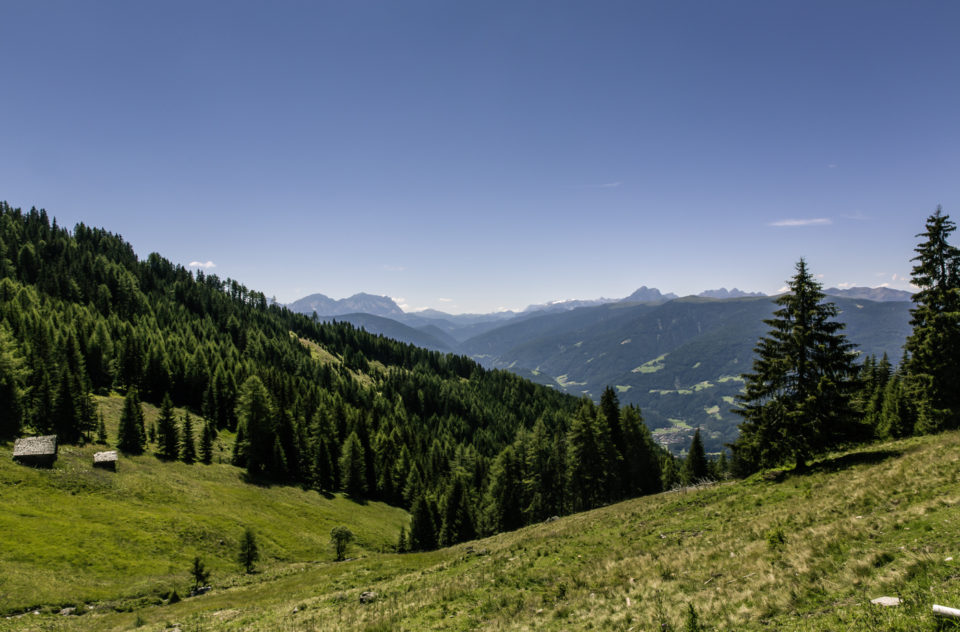 Mountain Trail Path South Tyrol