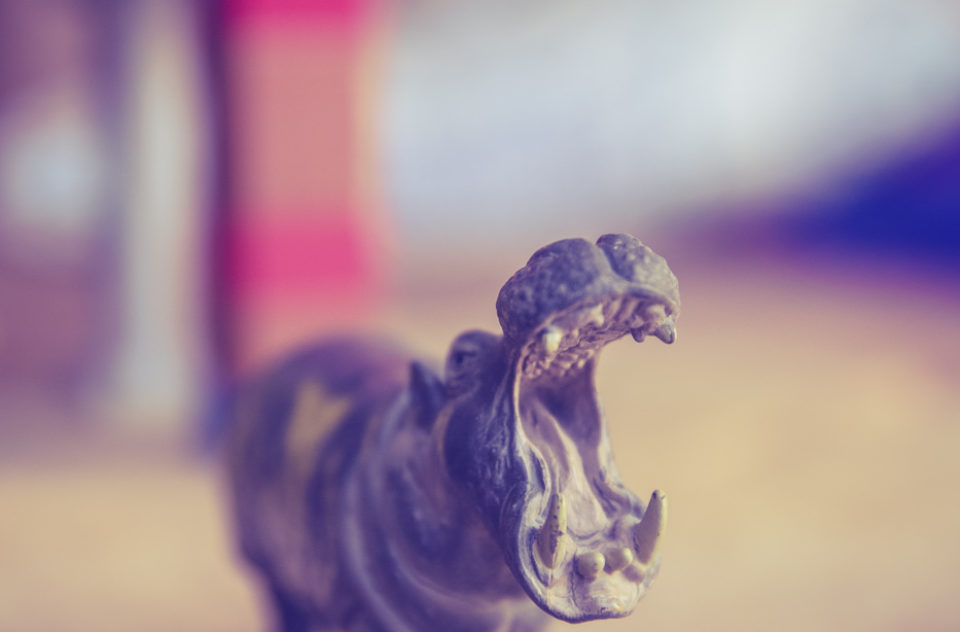 Miniature Hippo Toy