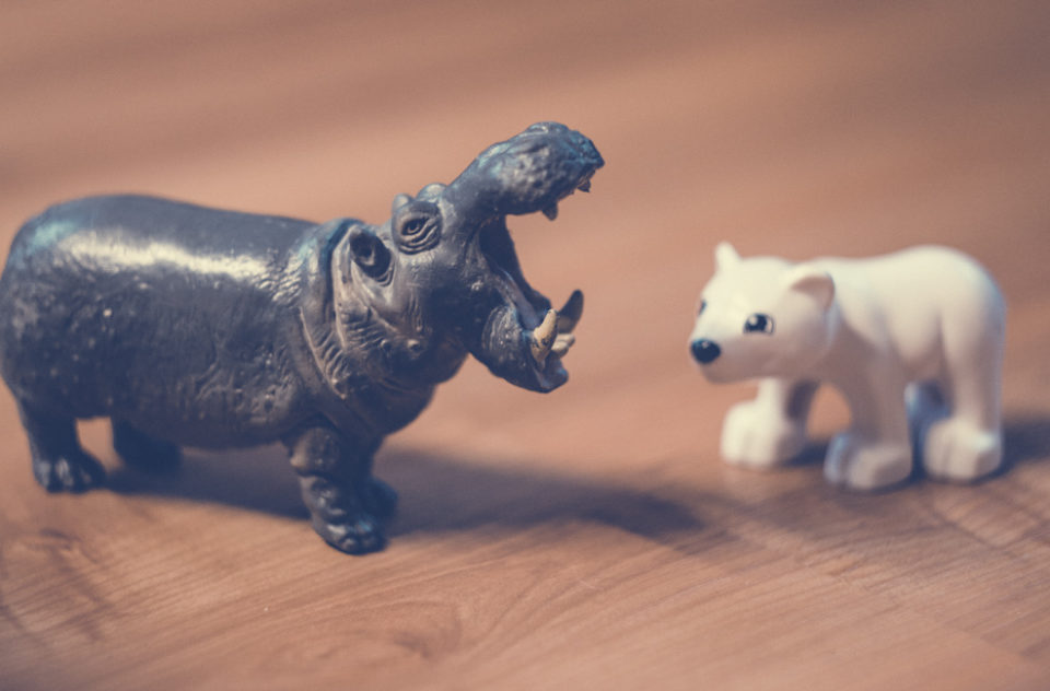 Miniature Hippo Polar Bear Toy