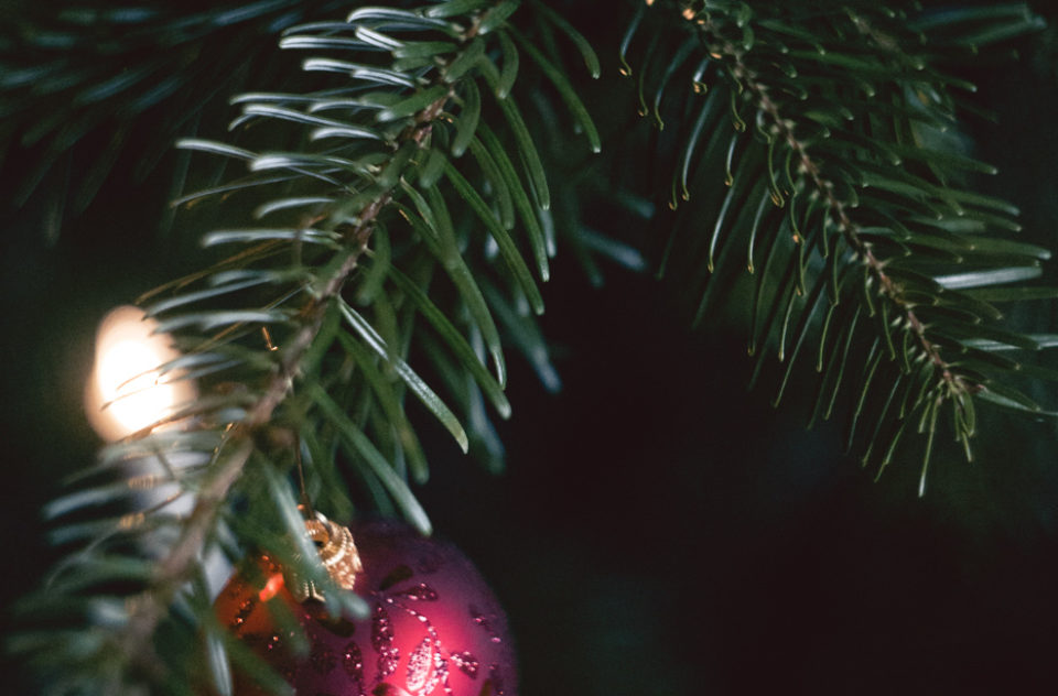 Christmasy Eve Ball Fir Tree