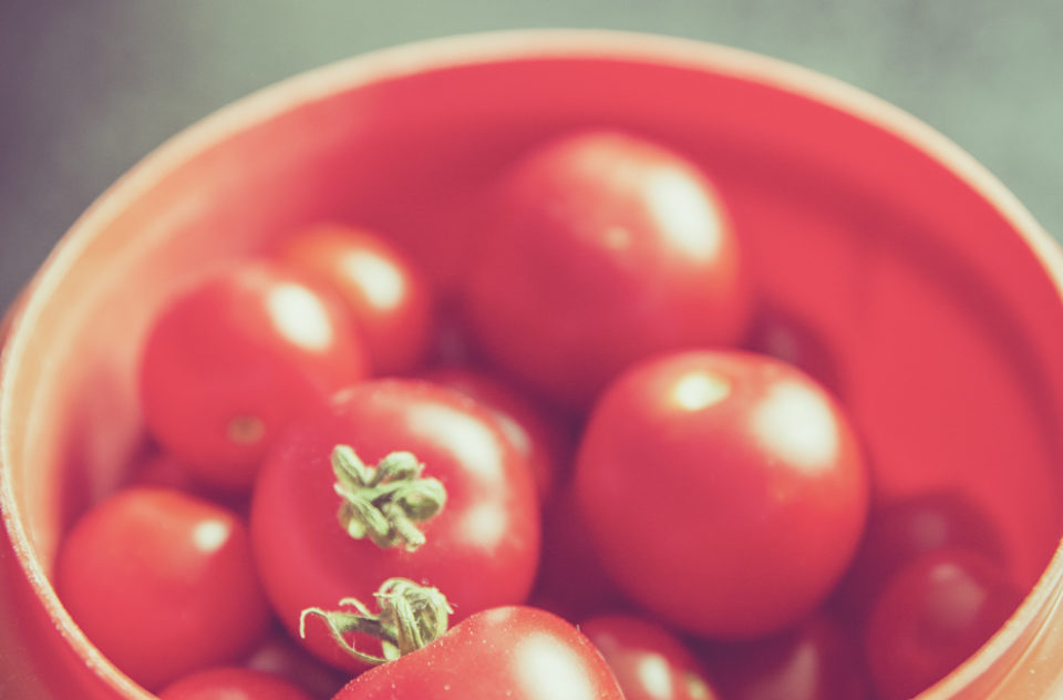 Fresh Bio Tomato Harvest