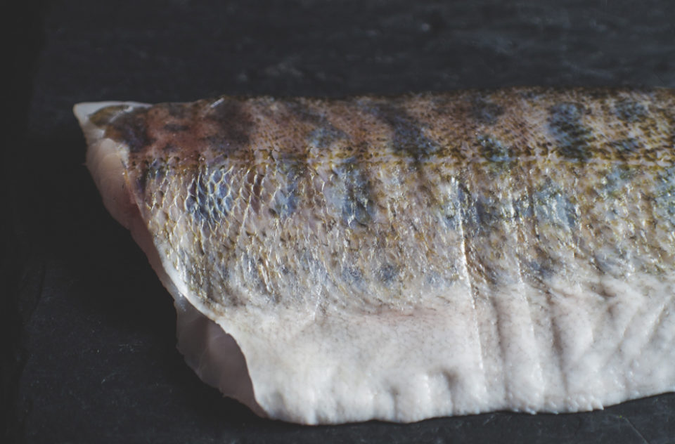 Fresh Salmon Coalfish